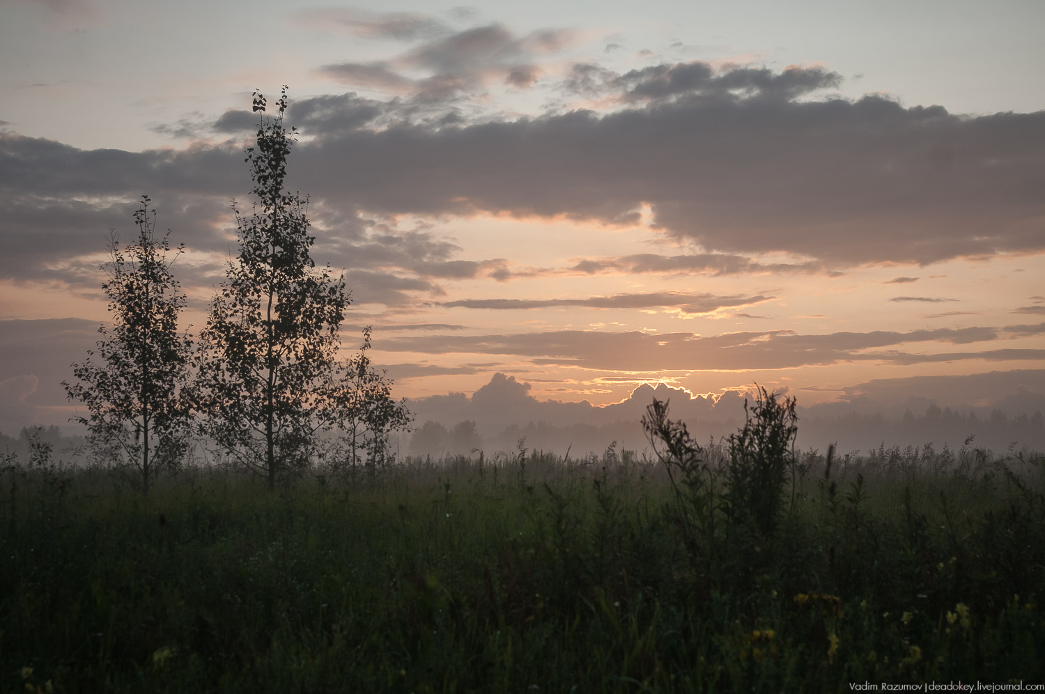 Закат, туман, Стромынь