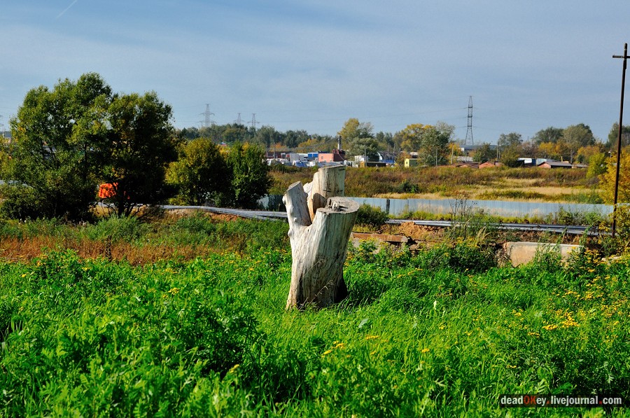 усадьба Тайнинское