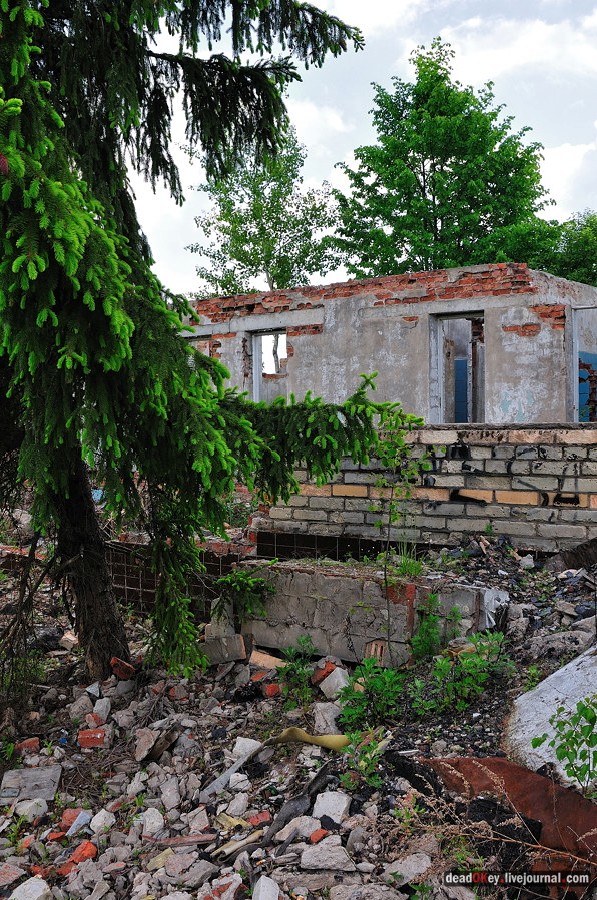 усадьба Спасское