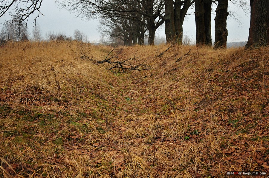 усадьба Савинское