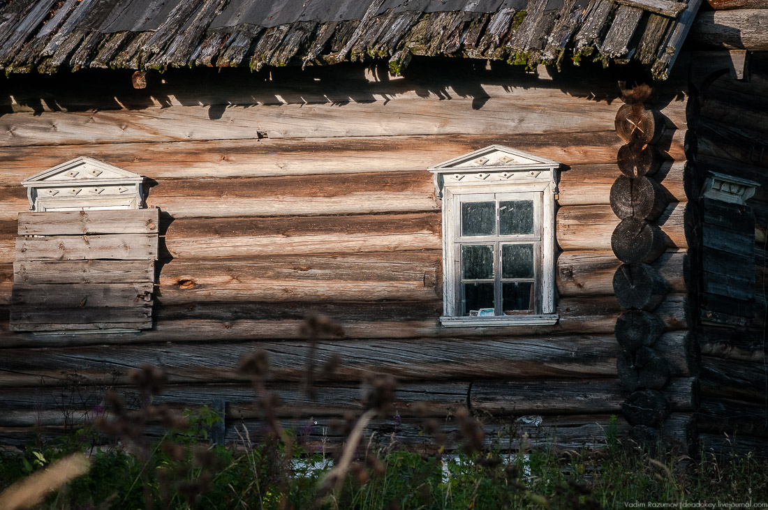 дер. Кучепалда, Архангельская обл.