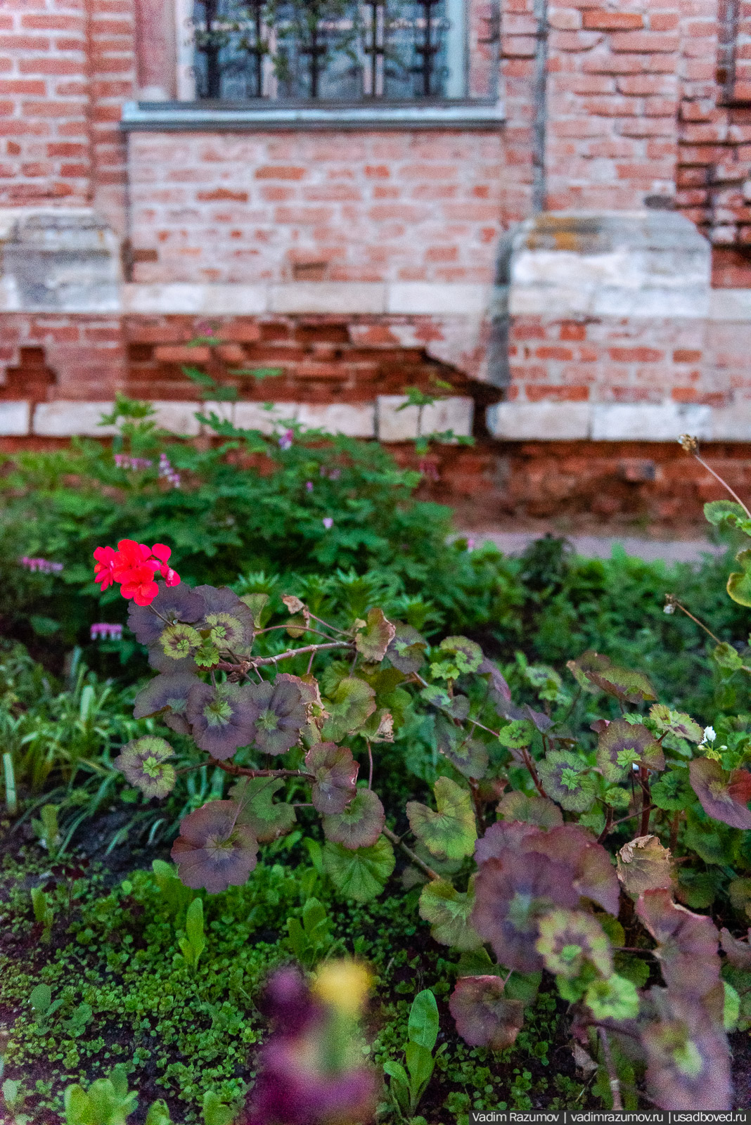 усадьба Вешаловка, Липецкая область, с дрона