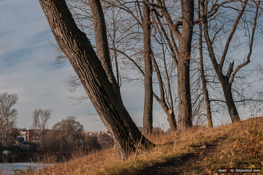 усадьба Богородицк