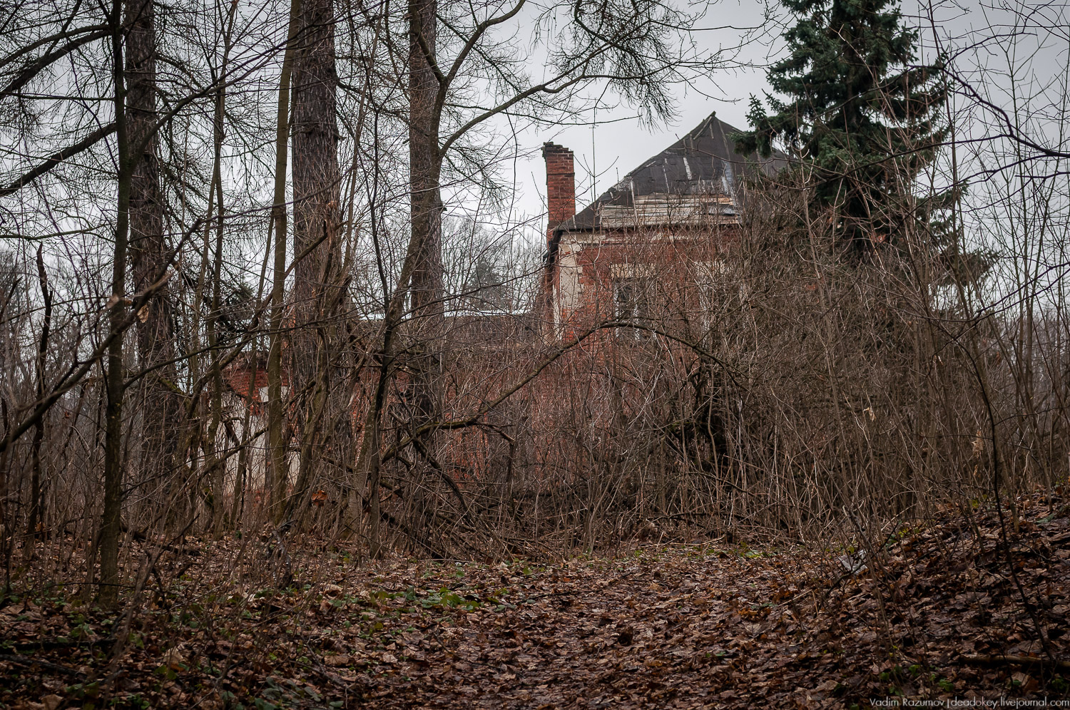 Усадьба Сенницы Усадьба Сенницы