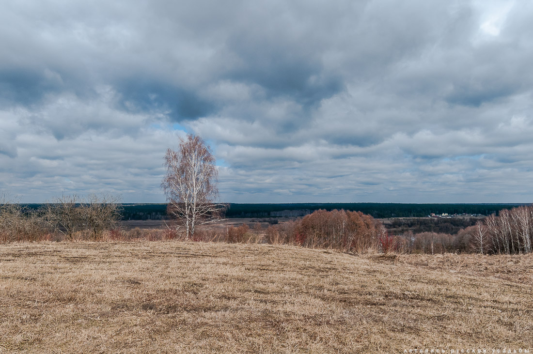 Усадьба Пущино-на-Оке