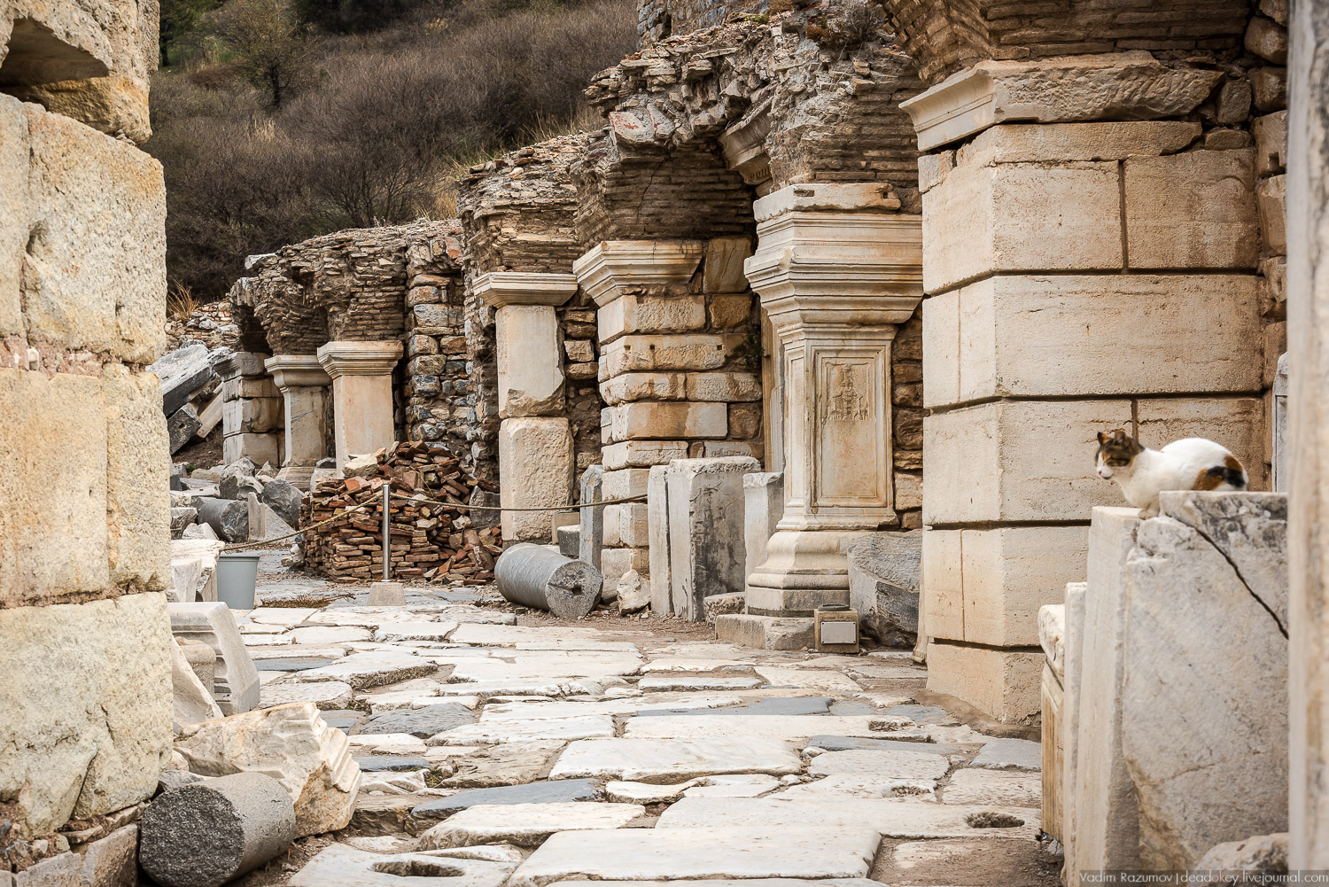 Эфес, античные руины, Турция