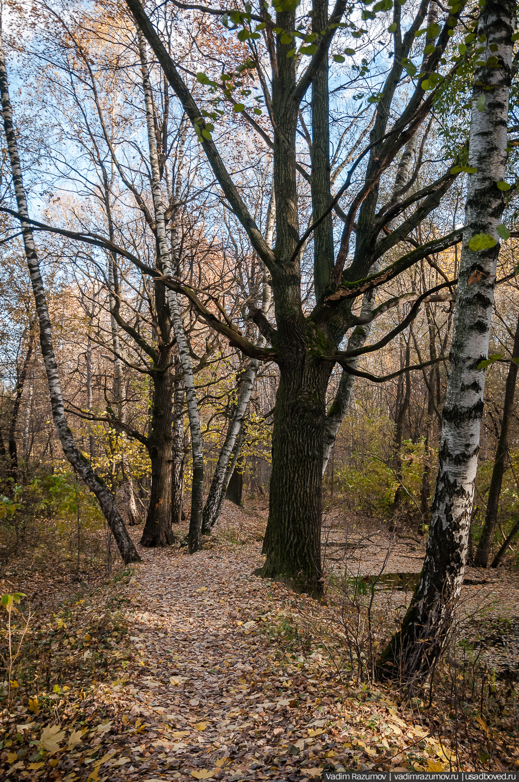 Терлецкий парк, усадьба Гиреево, Новогиреево, Перово