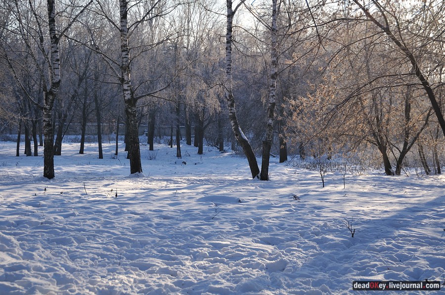 усадьба Люберцы