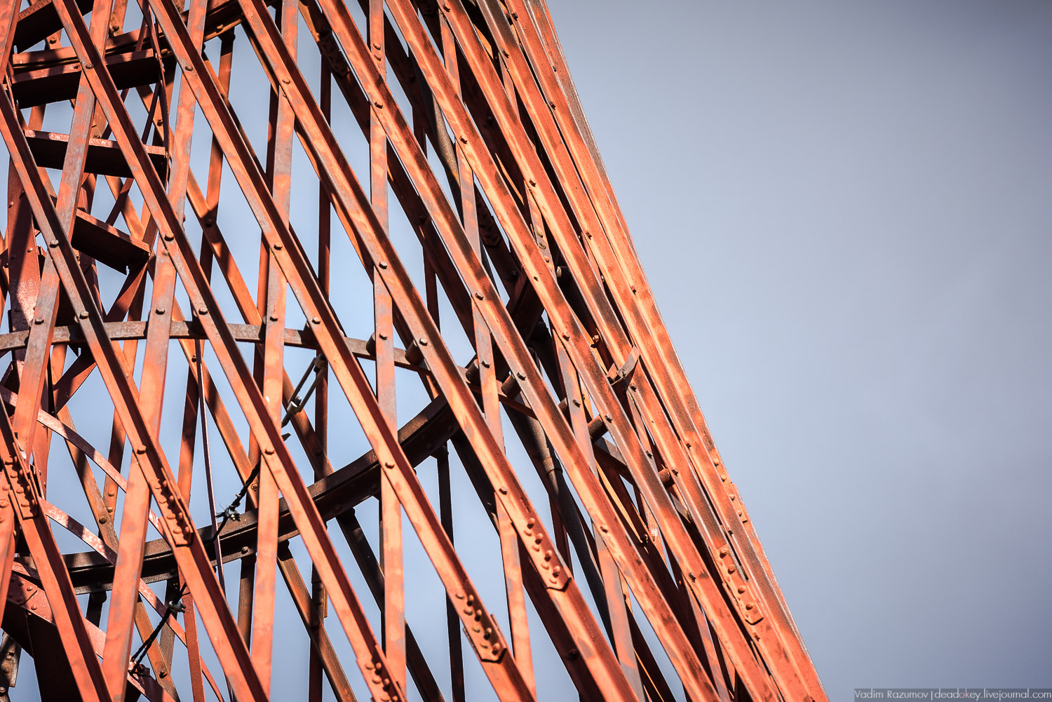 усадьба Полибино, Липецкая область, Усадебные волонтеры 21 сентября 2019 года