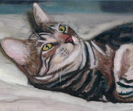 18598492_The_Striped_Cat (550x458, 179Kb)