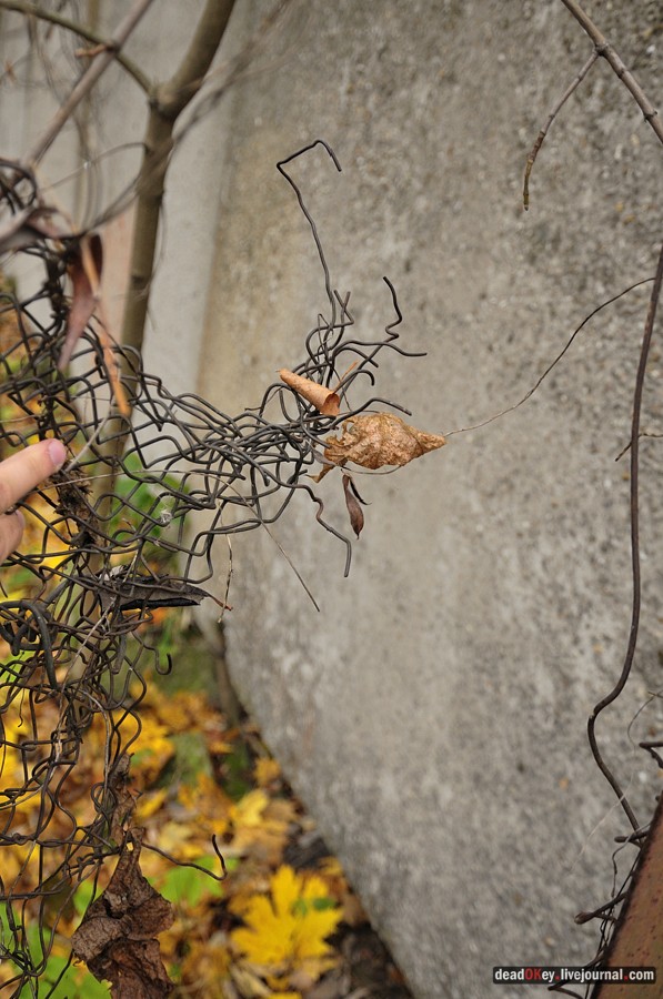 усадьба Жуково