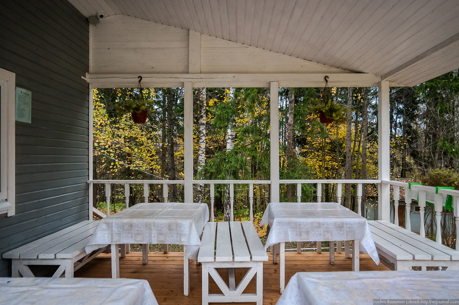 усадьба Шахматово А.А. Блока, Солнечногорский район