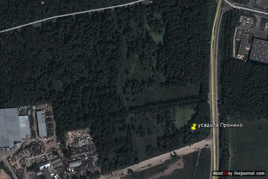 усадьба Пронино
