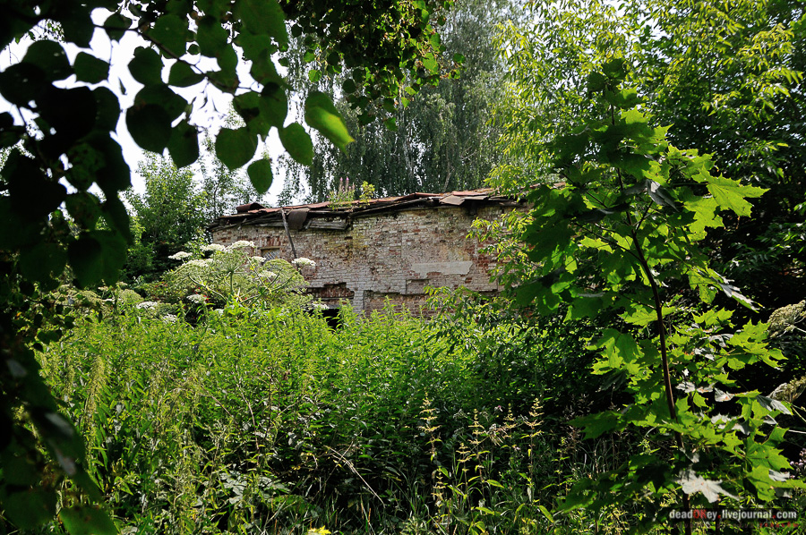 усадьба Матыра