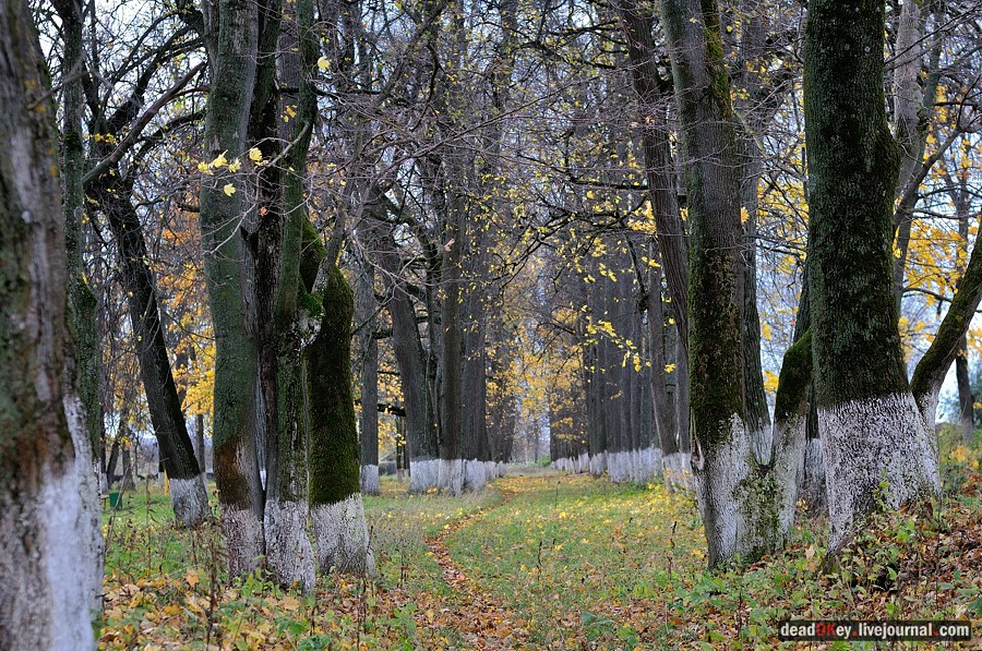 усадьба Авчурино