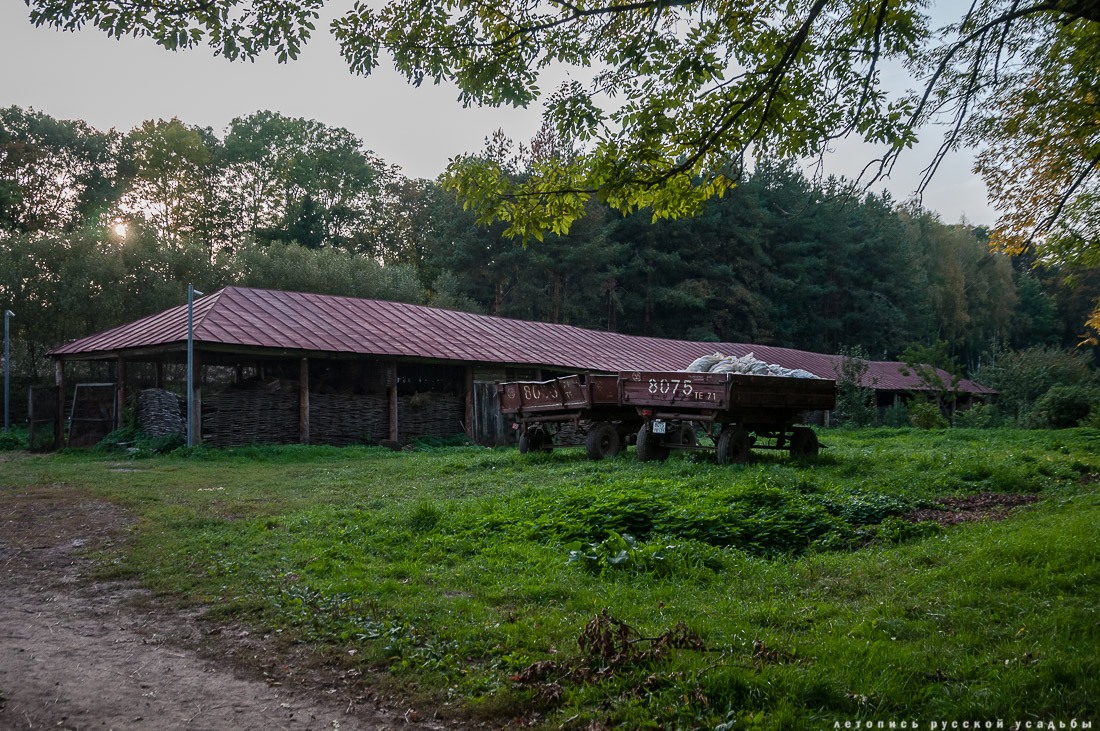 Усадебный экспресс. Ясная Поляна.