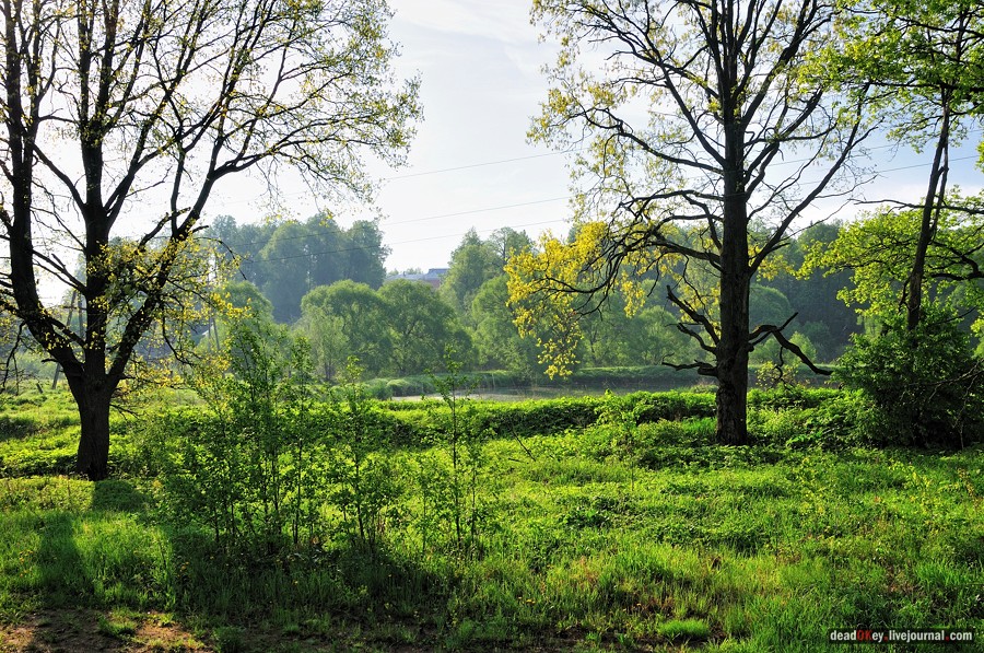 усадьба Мещерское