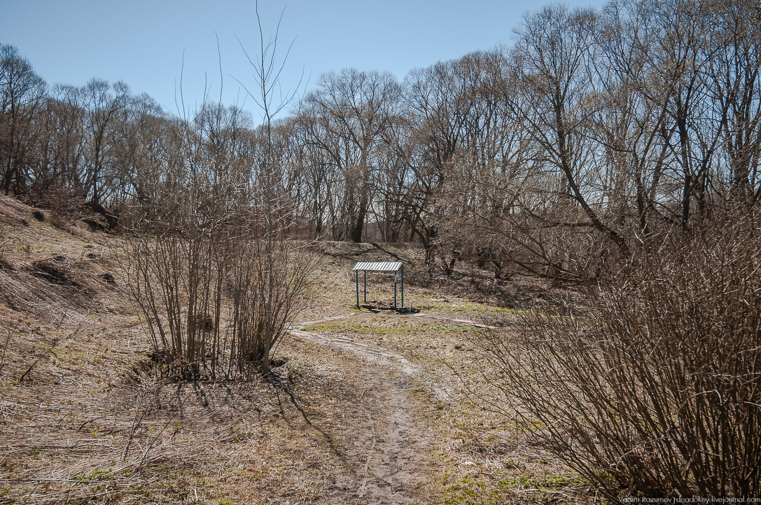 Богородицк, Церерина роща