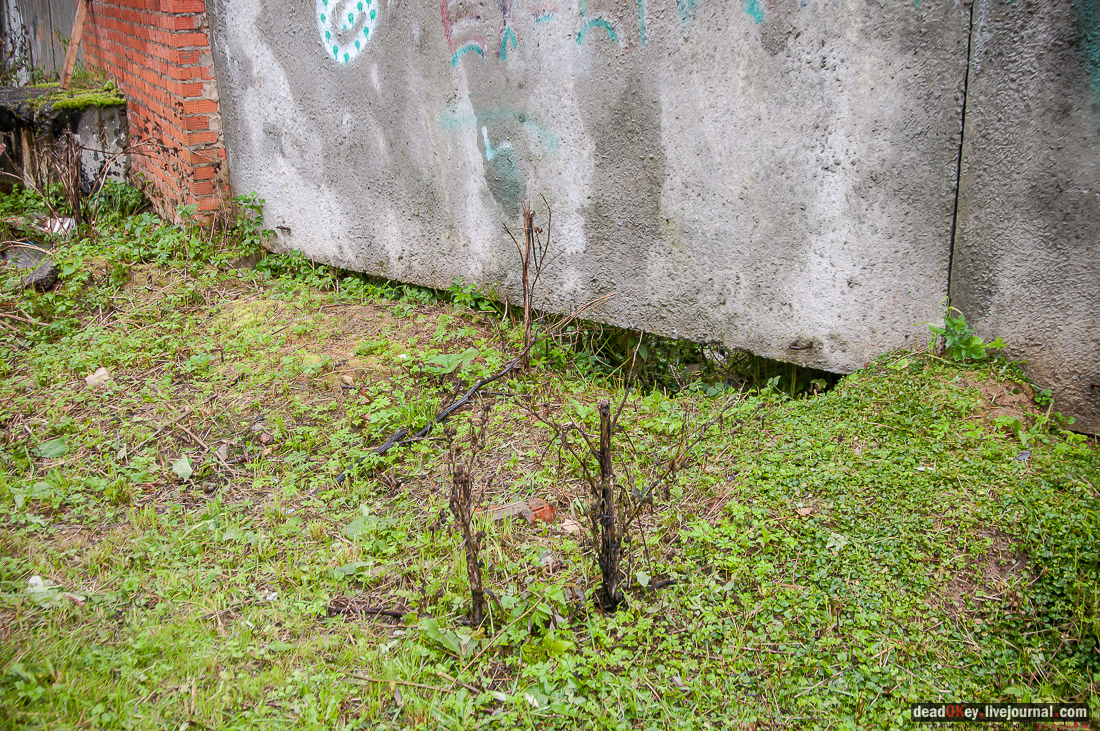 усадьба Сонино