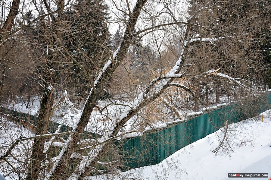 усадьба Котляково