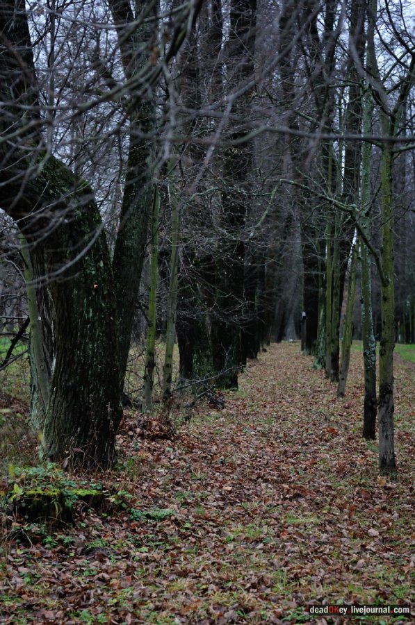 усадьба Горки Ленинские