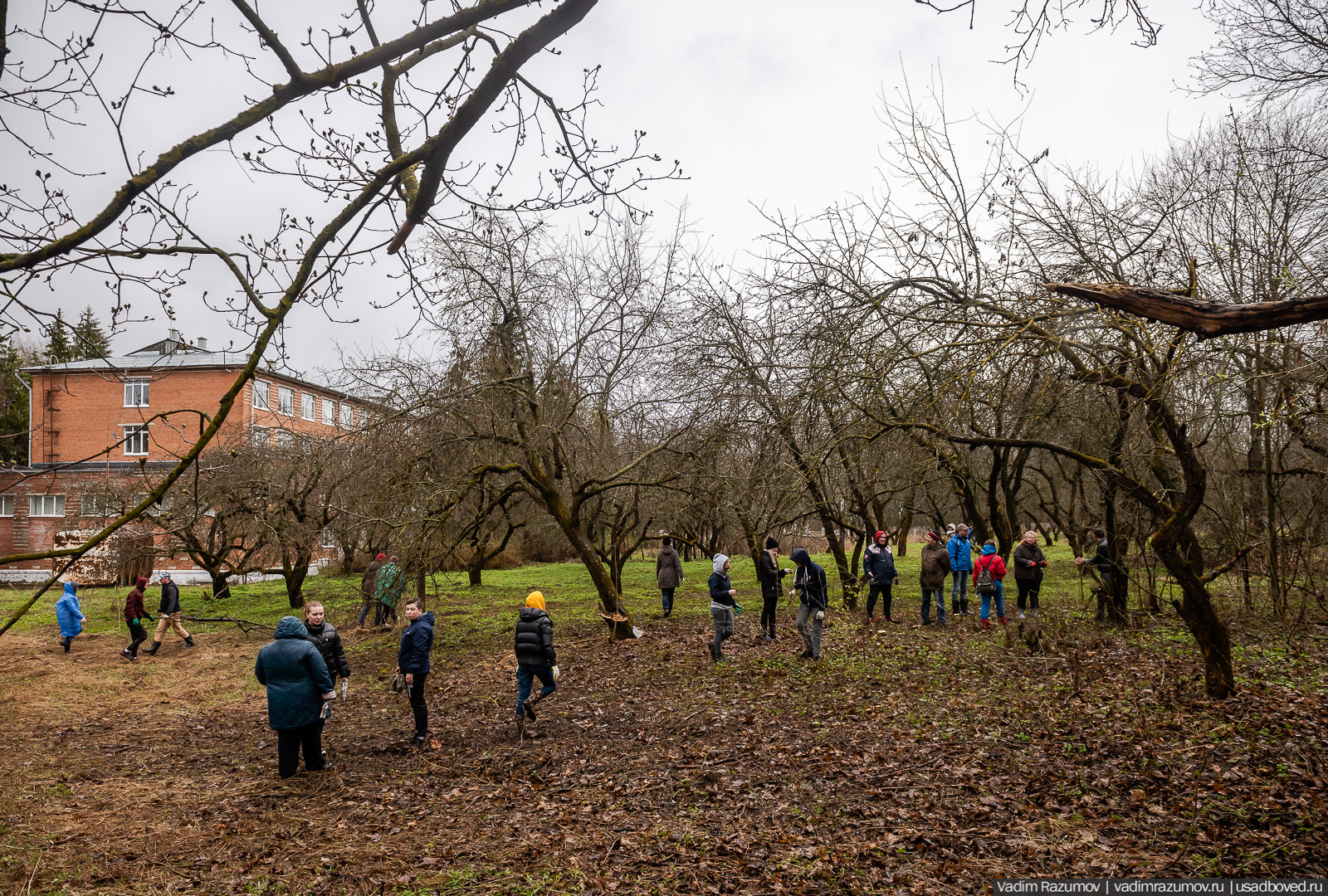 усадьба Колосово, волонтерский субботник 24 апреля 2021 года, Тульская область, НП Русская усадьба