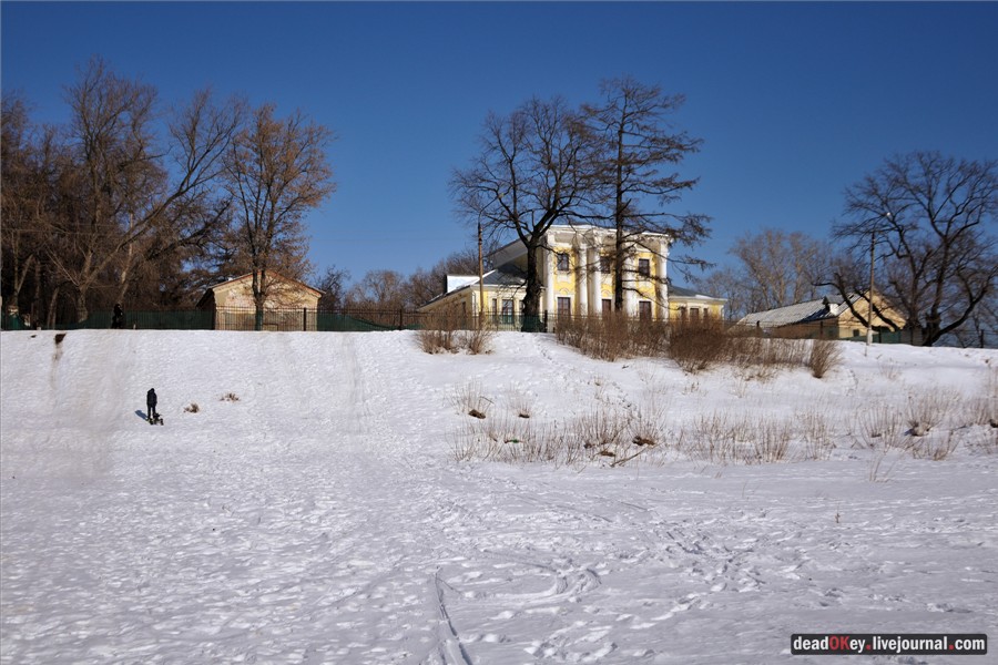 усадьба Кривякино