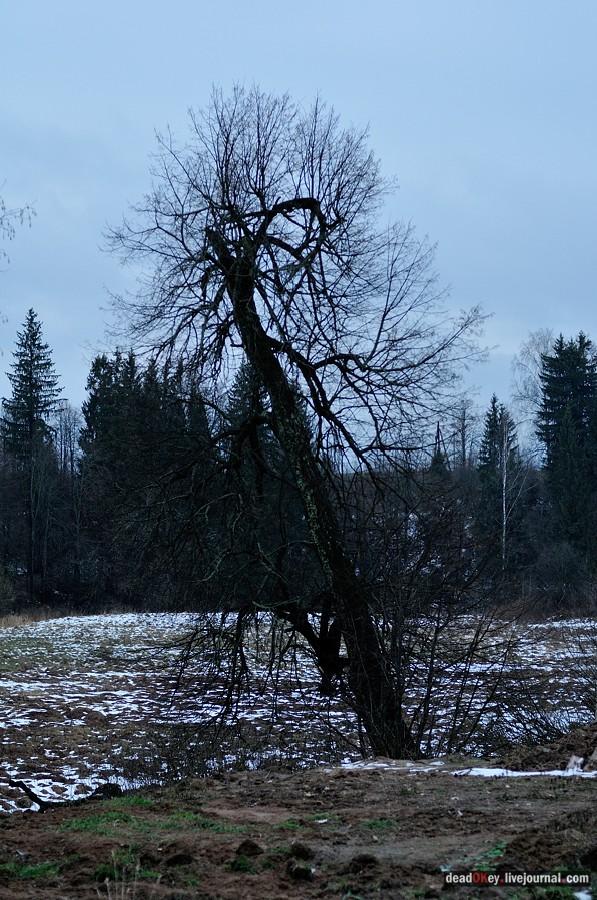 усадьба Ахтырка