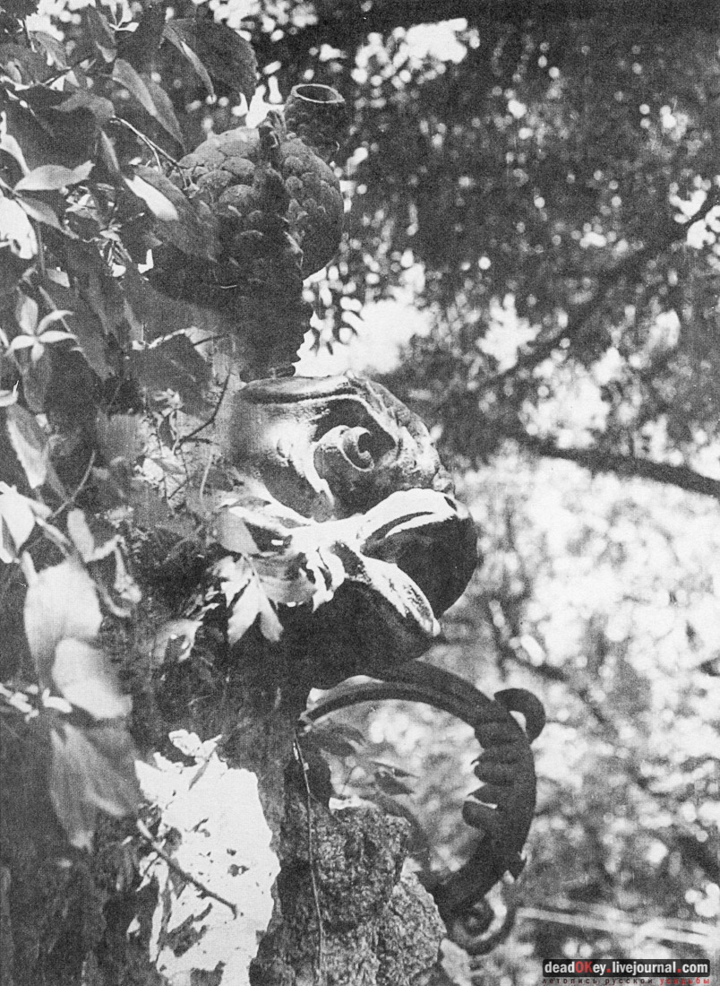 усадьба Рамонь