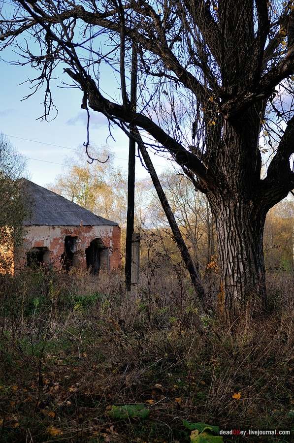 усадьба Дубровка (Мансурово)