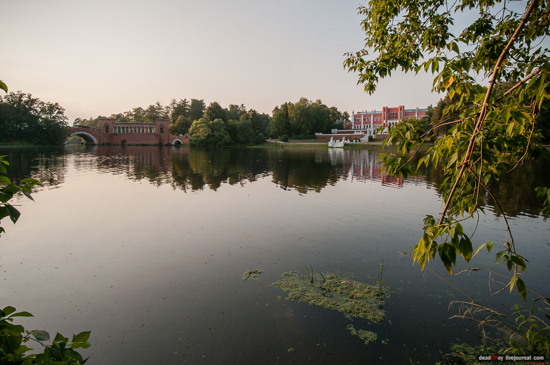 усадьба Марфино - грифонов покрасили