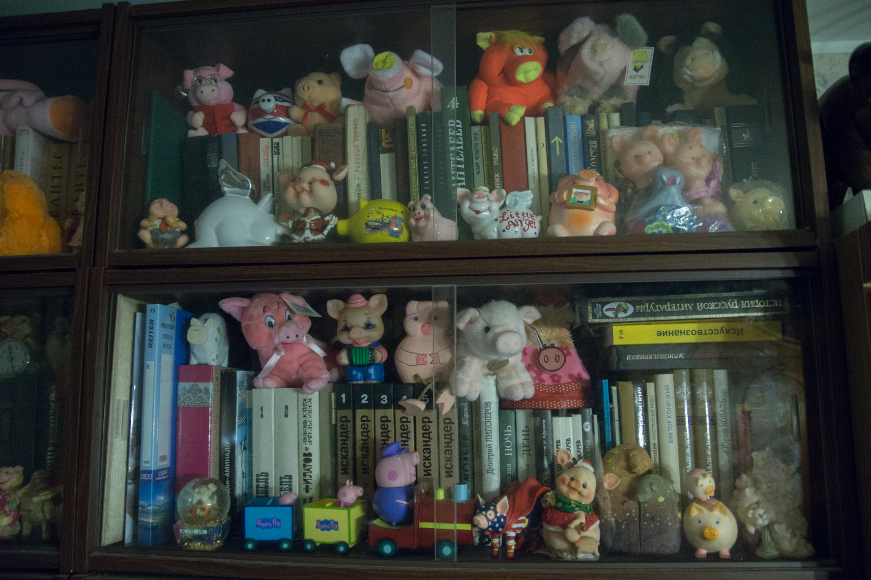 Свиньи, музей свиней