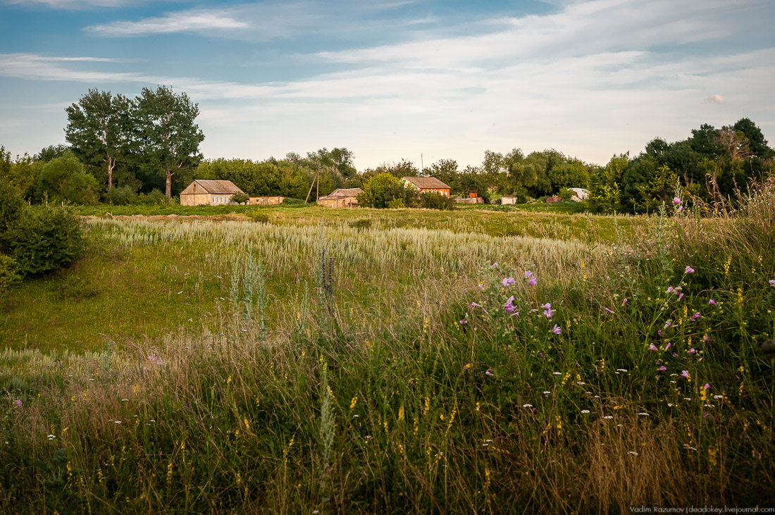 усадьба Озерки
