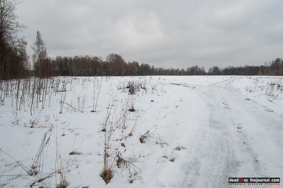 усадьба Рождественно (Рождественский погост)