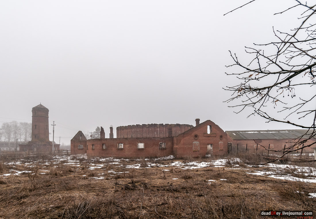 усадьба Рассказово (Арженка) Асеевых