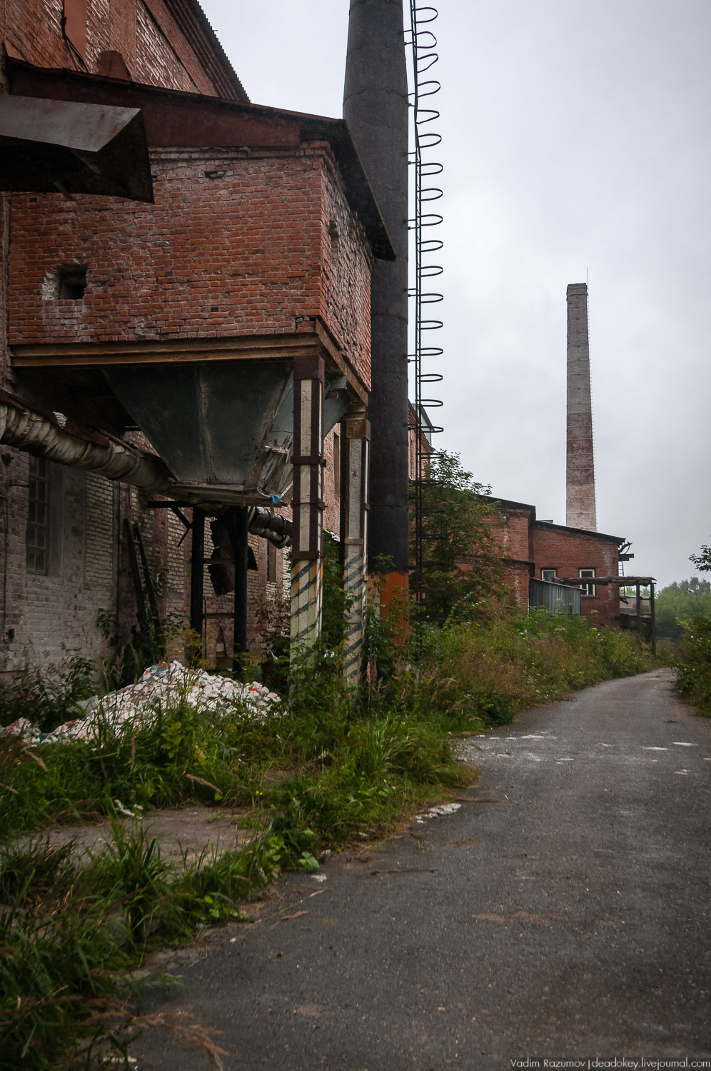 Фарфоровый завод, Вербилки