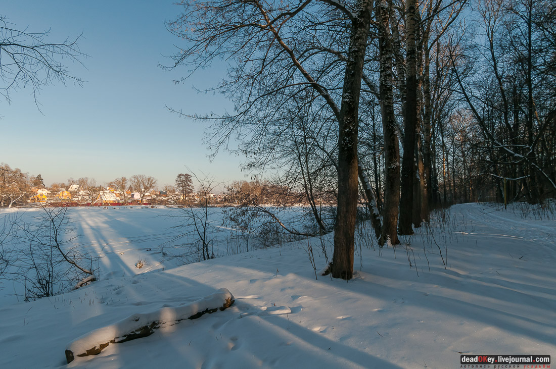 усадьба Васькино