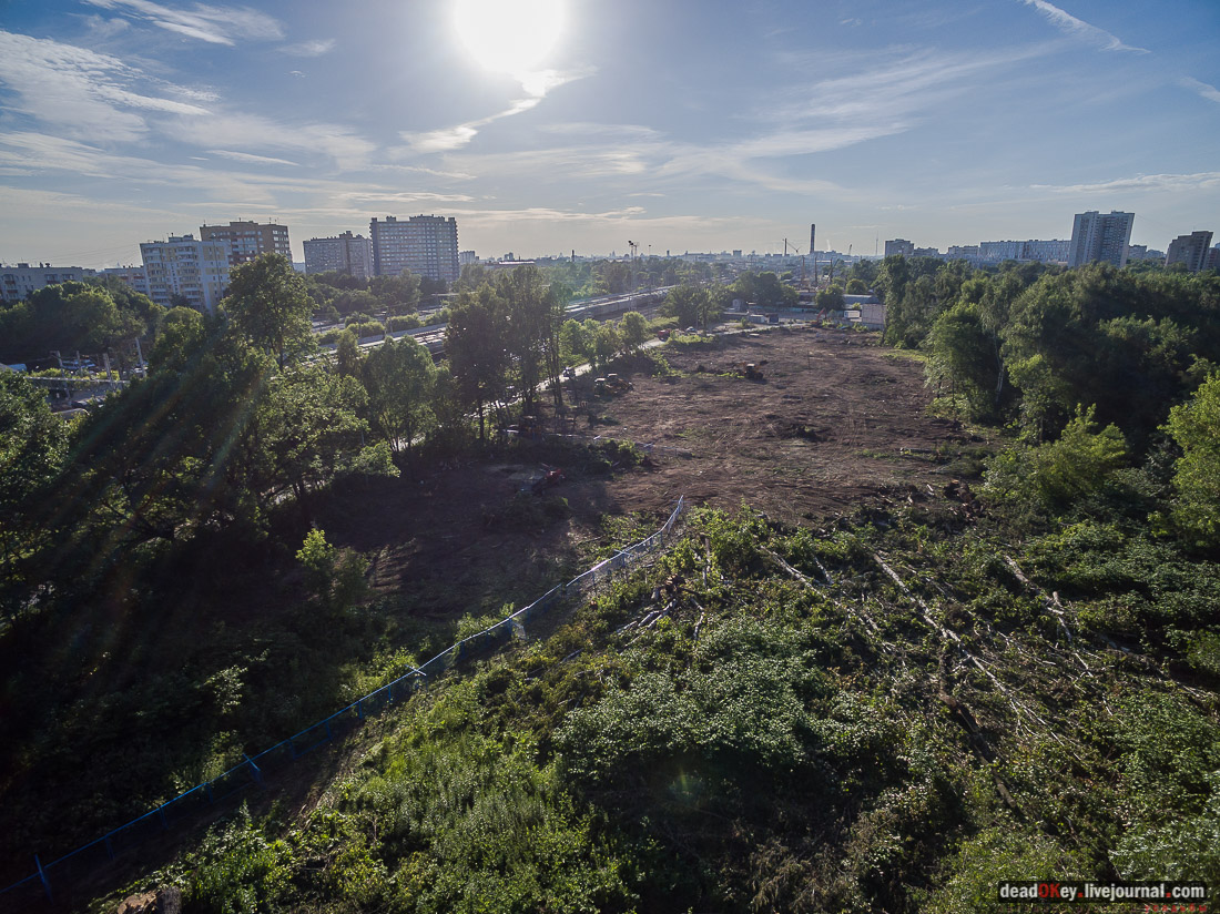усадьба Кусково с квадрокоптера