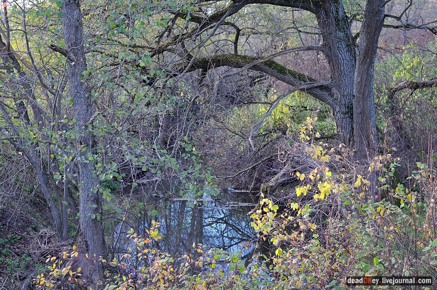 усадьба Дубровка (Мансурово)