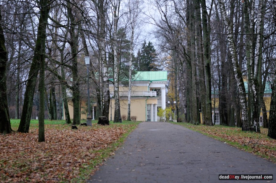 усадьба Горки Ленинские