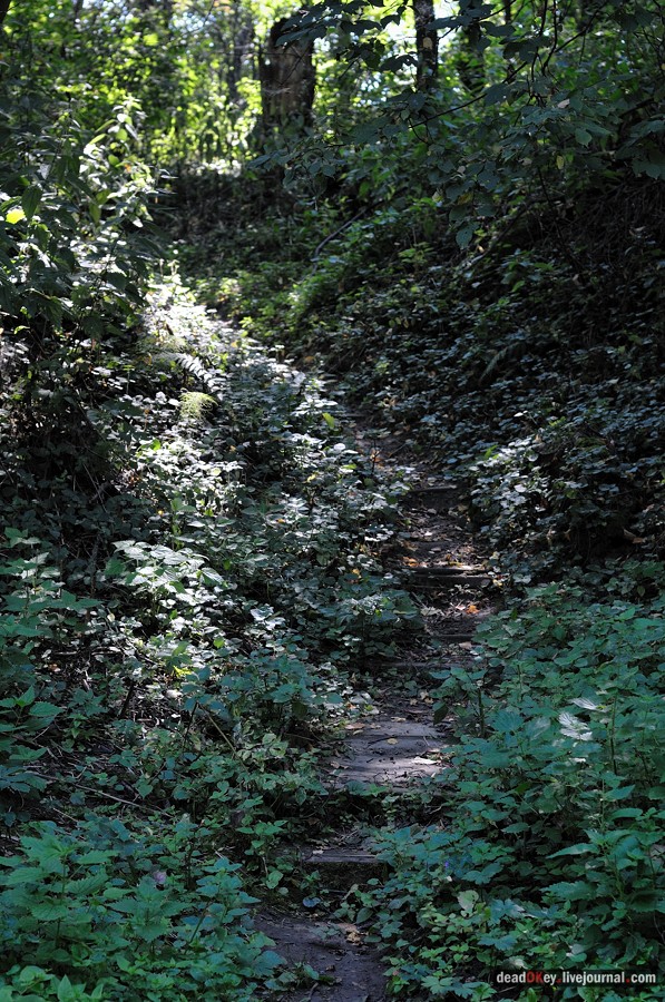 усадьба Опарино