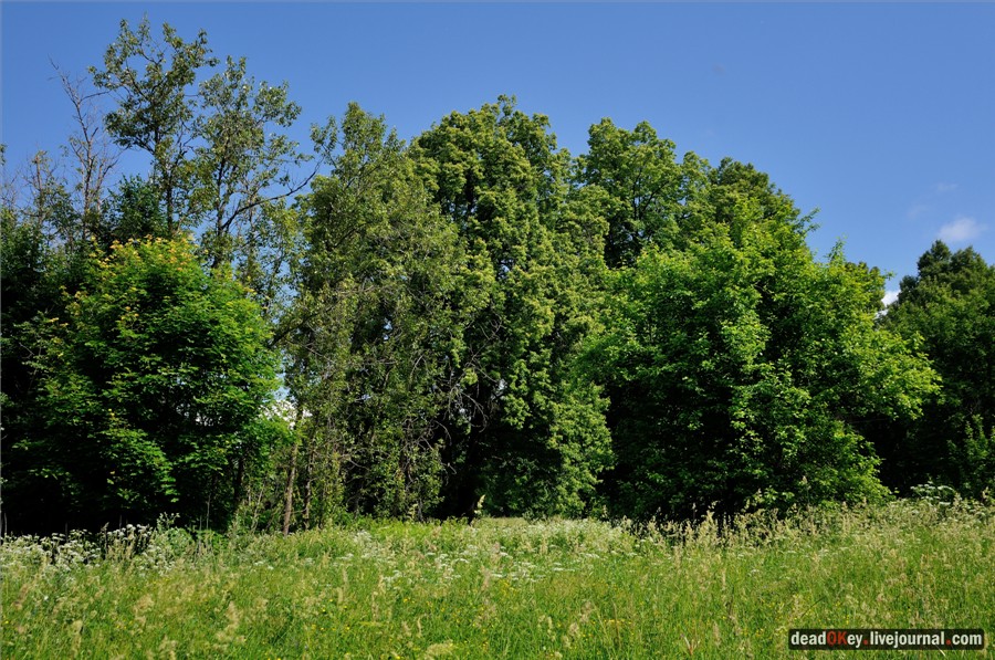 усадьба Ильинское