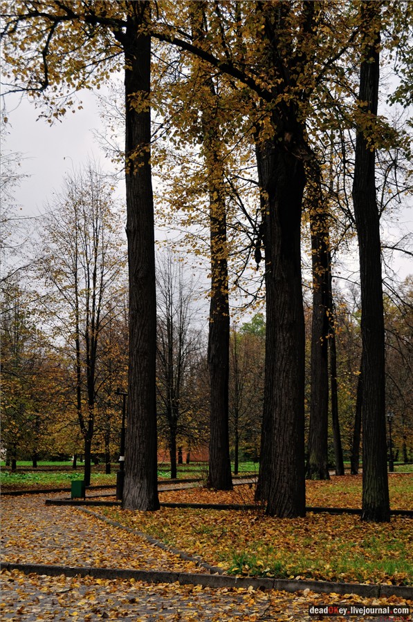 усадьба Марфино