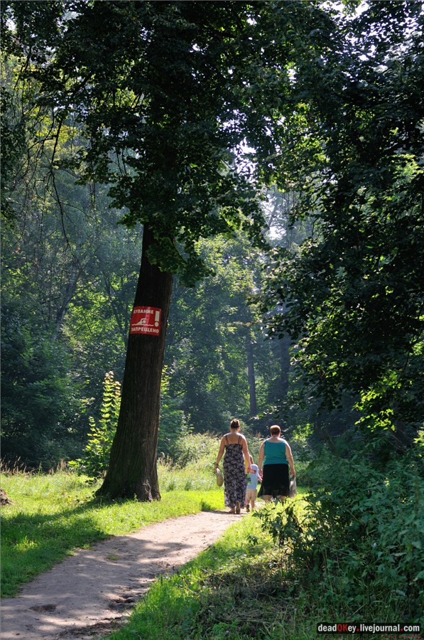 усадьба Лукино-Варино