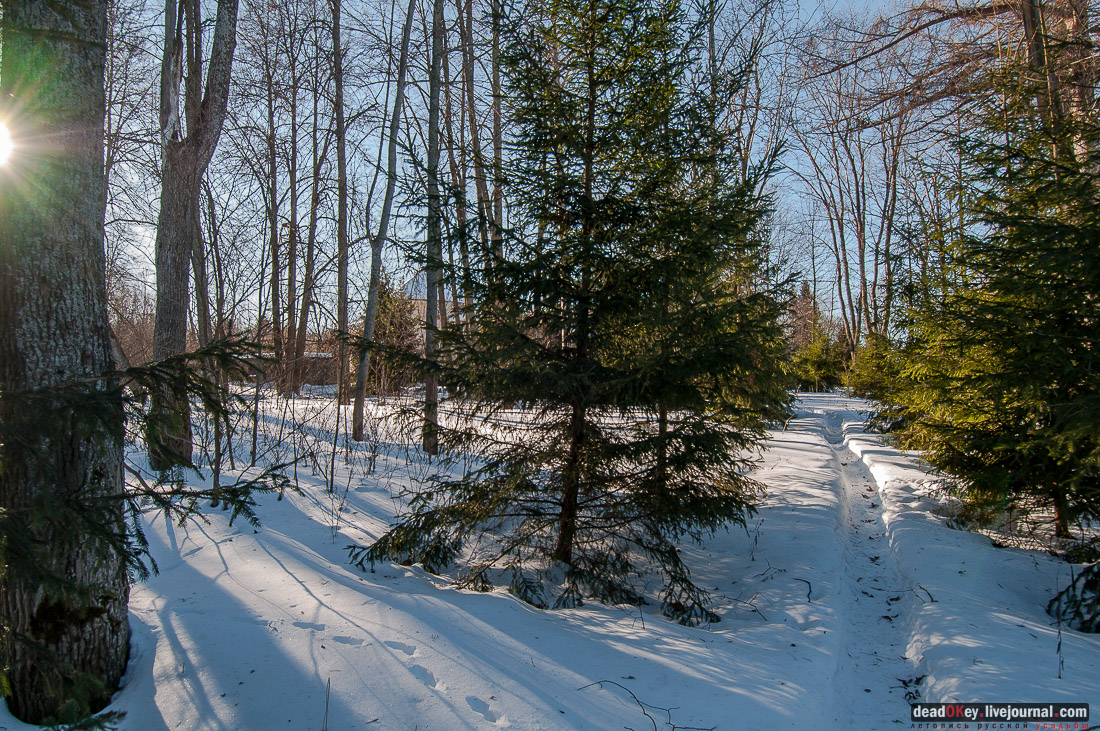 усадьба Ивановское-Козловское