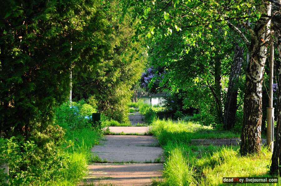 усадьба Богословское-Могильцы