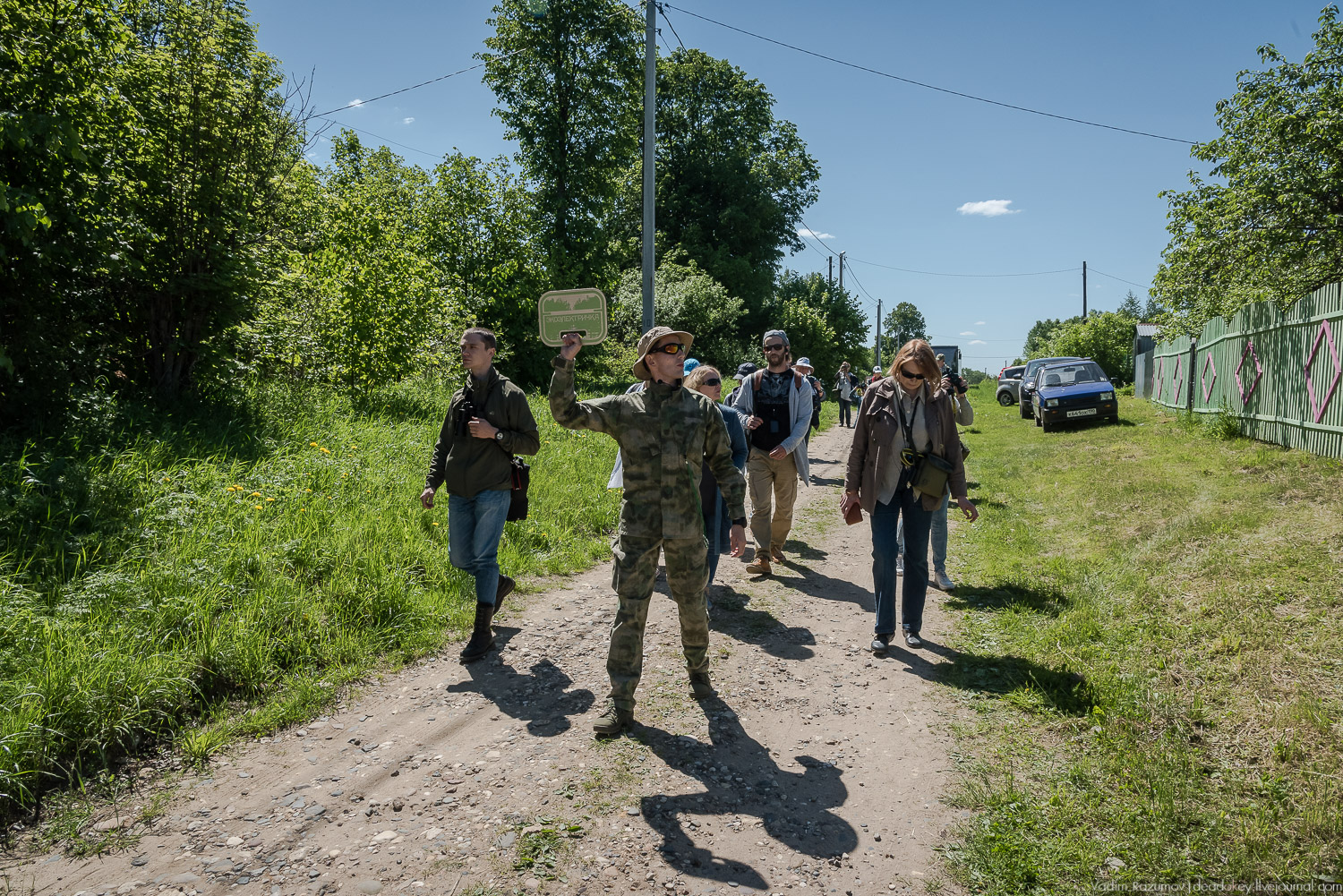 Экоэлектричка. Совиный фестиваль