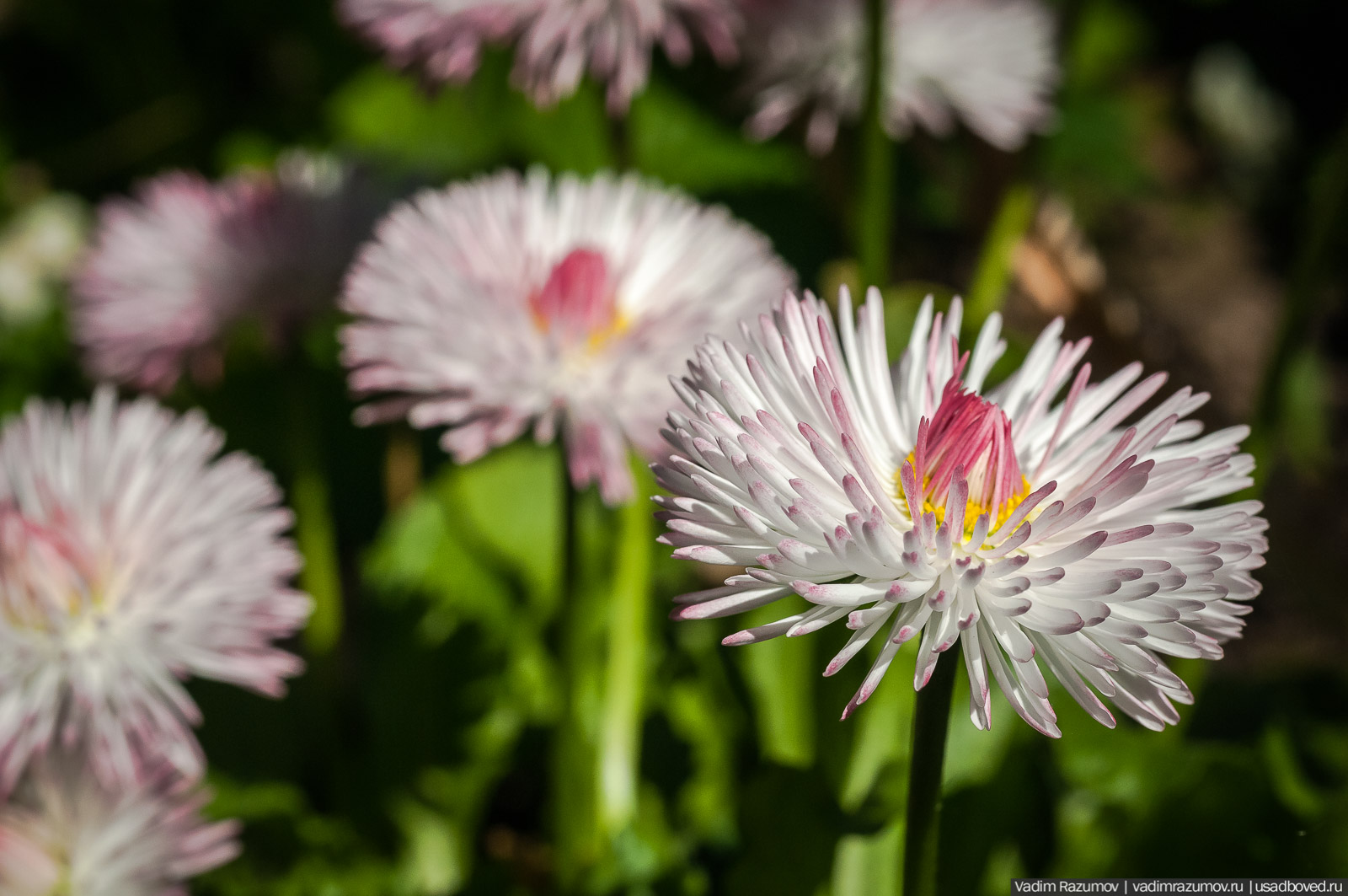 усадьба Дворяниново, Андрей Тимофеевич Болотов, Тульская область