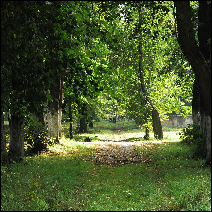 Парковые аллеи в русских усадьбах