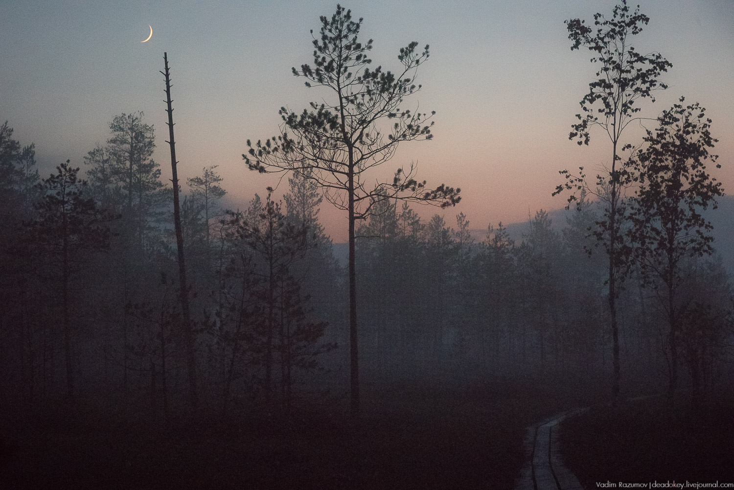 Центрально-лесной государственный природный биосферный заповедник, Нелидовский район, Тверская область, пос. Заповедный